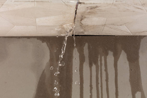 Professional Water Damage Inspection technician working in Malden, MA